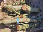 Stookkhout, Tuin en Terras, Overige Tuin en Terras, Ophalen