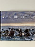 Grote dierentrek – Spectaculair kijkboek voor natuurfans, Ophalen of Verzenden, Zo goed als nieuw, K. M. Kostyal