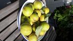 Kweeperen, biologisch en onbespoten, Diversen, Ophalen