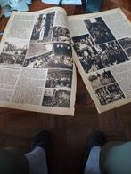 Artikel een schuttersfeest in Limburg 1619 1919 Gronsveld, Ophalen of Verzenden, Voor 1920, Knipsel(s)