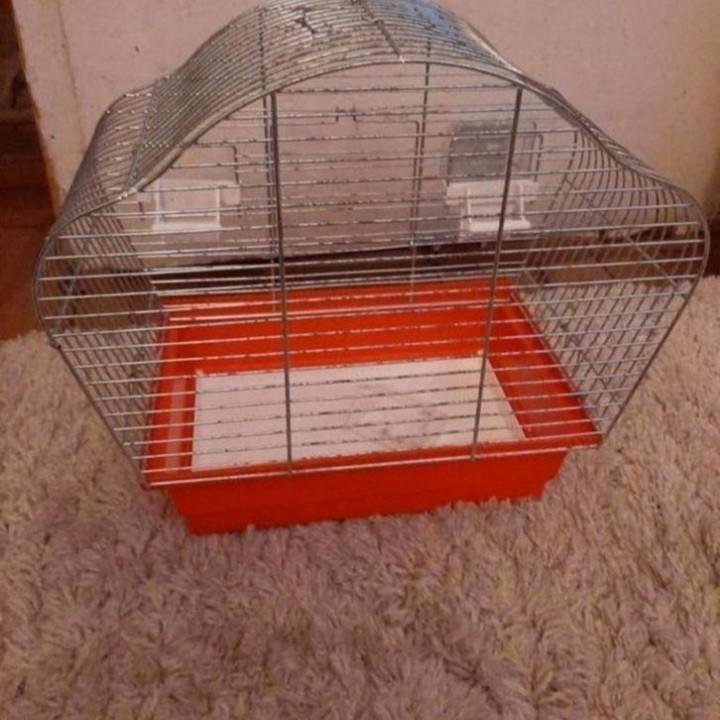 Te koop, Opbergbox vogel Kooi voor kleine vogel., Dieren en Toebehoren, Knaagdieren en Konijnen | Hokken en Kooien, Kooi, Ophalen