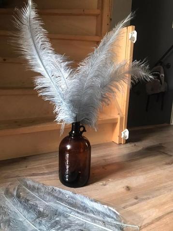 set 5 grijze veren 60cm  beschikbaar voor biedingen