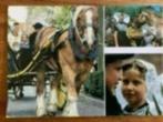 Ansichtkaart Zeeuwse klederdracht/ paard en wagen, Ophalen of Verzenden, 1980 tot heden, Gelopen, Klederdracht