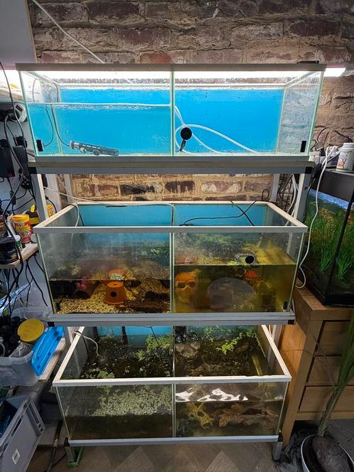Mooie aquarium stelling, 6 bakken!, Dieren en Toebehoren, Vissen | Aquaria en Toebehoren, Zo goed als nieuw, Leeg aquarium, Ophalen