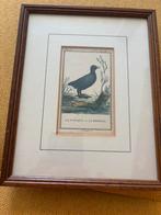 Kopergravure, Antiek en Kunst, Kunst | Etsen en Gravures, Ophalen of Verzenden