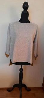 Prachtige trui van BETTY & CO, Kleding | Dames, Verzenden, Zo goed als nieuw