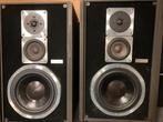 Magnat MIG All Ribbon 6 luidsprekers speakers, Ophalen, Gebruikt, Magnat, 60 tot 120 watt