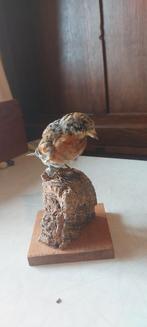 Opgezette Keep, Verzamelen, Dierenverzamelingen, Ophalen of Verzenden, Gebruikt, Vogel, Opgezet dier