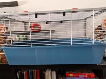 Cavia, muisjes of hamsterkooi met veel accessoires  beschikbaar voor biedingen