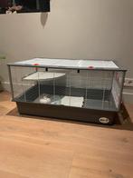 Kooi voor knaagdieren, Ophalen, Kooi, Rat, 60 tot 90 cm