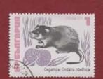 Fauna - Dieren - Bisam- of Muskusrat - Bulgarije - 2248, Ophalen of Verzenden, Gestempeld, Dier of Natuur