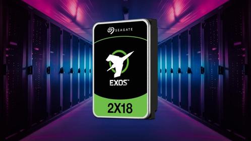 Seagate Exos 2X18 Sas-3 12G SED harddisk (5 op voorraad), Computers en Software, Harde schijven, Zo goed als nieuw, Server, Intern