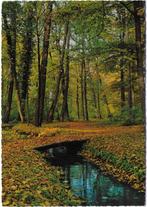 Garderen gelopen Ansichtkaart ( B2659 ), Ophalen of Verzenden, Gelopen