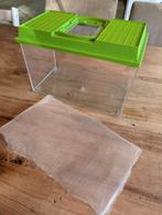 Terrarium / verblijf, Wandelende tak