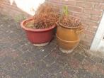 Keulse pot met varen en andere grote pot met varen, Tuin en Terras, Planten | Tuinplanten, Ophalen of Verzenden, Overige soorten