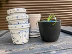 Saksisch blauw saks plantenpotten potten, servies, eierdop, Ophalen of Verzenden, Rond, Minder dan 25 cm, Binnen