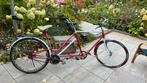 Tandem €20, Ophalen, Minder dan 10 versnellingen, Minder dan 49 cm, Zo goed als nieuw
