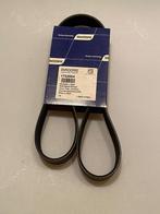 1702604 Multiple v-belt, 8013XG, Nieuw, Ophalen of Verzenden, RAHandel