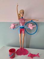 Barbie dolfijnen trainster, Ophalen of Verzenden, Zo goed als nieuw, Barbie