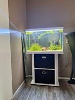 Superfish start 150 liter. Compleet met meubel en manden, Dieren en Toebehoren, Ophalen, Zo goed als nieuw, Gevuld zoetwateraquarium
