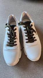 Dctr. Shoe, Kleding | Dames, Ophalen, Wit, Dctr. Shoe, Sneakers of Gympen