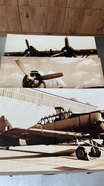 3 fotos op canvas op hoten lijst beschikbaar voor biedingen