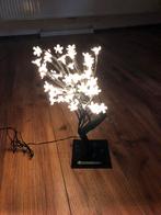 Verlichting 48 indoor mini lampjes nieuw in doos, Ophalen of Verzenden, Zo goed als nieuw, Minder dan 50 cm