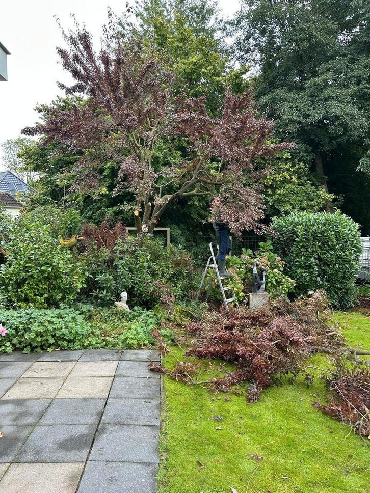 Hovenier: van alle markten thuis!, Diensten en Vakmensen, Tuinmannen en Stratenmakers, Bestrating, Hekwerk of Schuttingen, Tuin- of Vijveraanleg