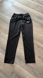 Nieuwstaat: Puma trainingsbroek maat 176, Kinderen en Baby's, Kinderkleding | Maat 176, Puma, Sport- of Zwemkleding, Ophalen of Verzenden