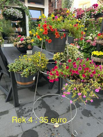 Mooie planten rekken zeer stevig beschikbaar voor biedingen