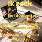 Thuiswerken, Starter, Overige vormen