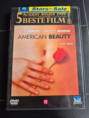 American beauty  beschikbaar voor biedingen