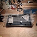 Konijnenhok, Dieren en Toebehoren, Knaagdieren en Konijnen | Hokken en Kooien, Kooi, Cavia, Zo goed als nieuw, 75 tot 110 cm