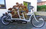 Van Raam Twinny deelbare tandem 2 jaar jong met grote beurt., Versnellingen, 49 tot 53 cm, Zo goed als nieuw, Ophalen