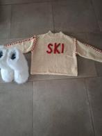 Ski trui, Verzenden, Zo goed als nieuw, Maat 36 (S), Trui