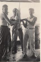 3 Vissers vangst Marlin Zwaardvis Jamaica 1950, Verzenden, 1940 tot 1960, Gebruikt, Dier