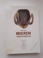 Mieren van de Benelux - Peter Boer, Ophalen of Verzenden, Zo goed als nieuw, Natuur algemeen, Peter Boer