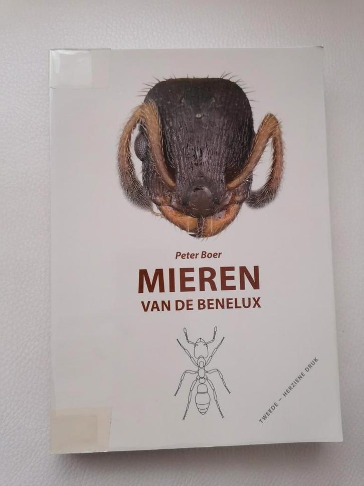 Mieren van de Benelux - Peter Boer, Boeken, Natuur, Zo goed als nieuw, Natuur algemeen, Ophalen of Verzenden