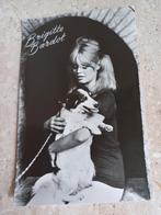 Ansichtkaart Brigitte Bardot, 1940 tot 1960, Ongelopen, Ophalen of Verzenden, Sterren en Beroemdheden