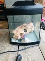 Aqua 40 aquarium, Dieren en Toebehoren, Vissen | Aquaria en Toebehoren, Ophalen, Gebruikt, Leeg aquarium