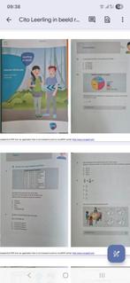 Cito Toets Groep 7M,7E NEW, Ophalen of Verzenden, Nieuw, Overige niveaus, Nederlands