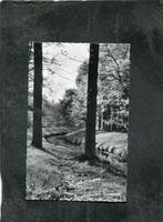 Ansicht Groeten uit Haaksbergen - Buursebeek, Verzamelen, Verzenden, 1940 tot 1960, Gelopen, Overijssel