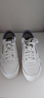 Diesel sneakers, Kleding | Dames, Schoenen, Nieuw, Ophalen of Verzenden, Sneakers of Gympen