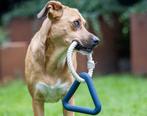Speeltje hond - Triangel met touw, Ophalen of Verzenden, Nieuw