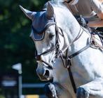 Mexicaans Hoofdstel maat Full, Dieren en Toebehoren, Paarden en Pony's | Hoofdstellen en Tuigage, Ophalen of Verzenden, Zo goed als nieuw