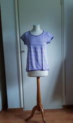 Shirt streep, Kleding | Dames, Ophalen of Verzenden, Gedragen, Paars, Korte mouw