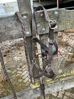 Pony halster en touw, Dieren en Toebehoren, Paarden en Pony's | Hoofdstellen en Tuigage, Ophalen of Verzenden, Nieuw, Overige soorten