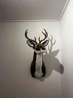 Hertenkop decoratie, Ophalen, Zo goed als nieuw