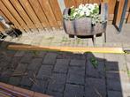 Houten latten Houten Planken GRATIS, Ophalen, Gebruikt, Minder dan 25 mm, Plank