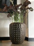 Croco Pot - Ø47cm, Hoogte 57cm, Ophalen, Overige materialen, Gebruikt, 40 cm of meer